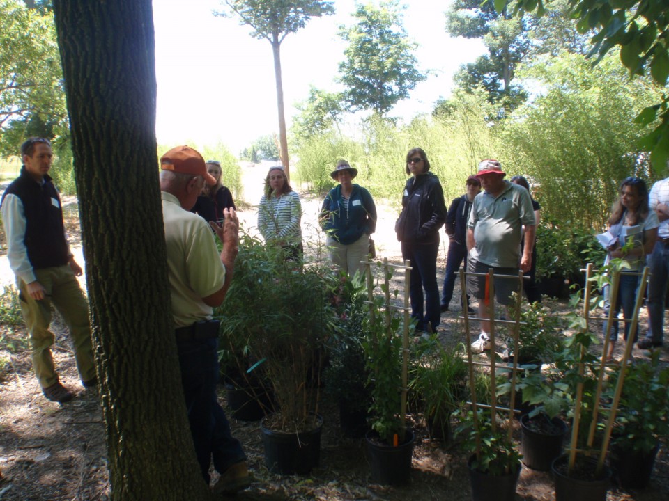 Ocasla Photo Gallery Klyn Nursery In Perry Ohio Is 500 Acres Size And Employs Roughly 150 People